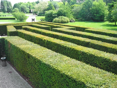 Yew Hedge Maze